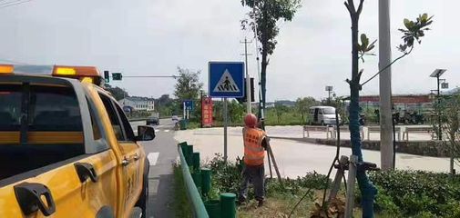 剪綠遮修護欄，筑牢公路交通安全生命線